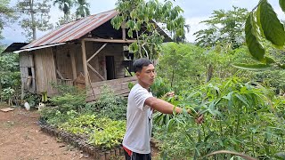 Sambel Ikan Teri Daun Ubi Singkong Rebus, Menu Makan Pulang kerja