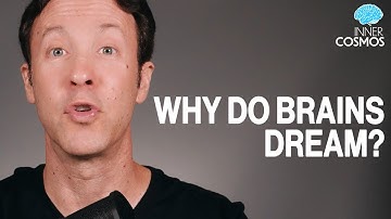Why do brains dream? | Inner Cosmos with David Eagleman