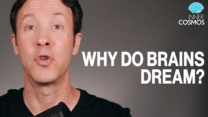 Why do brains dream? | Inner Cosmos with David Eagleman