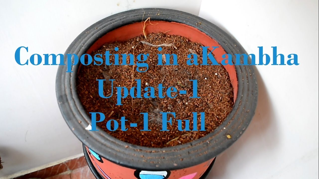 Composting in a Kambha Update:2 -Pot 1 full
