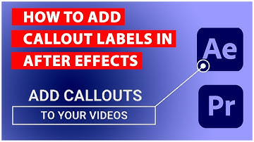 How to add Callout Labels to Your Video