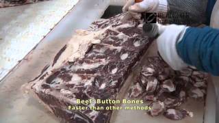 Beef Button Bone Removal