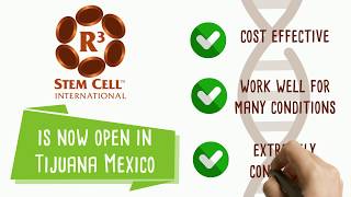 Welcome to R3 Stem Cell International (888) 9880515