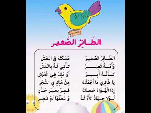انشودة الطائر الصغير للتحضيري والسنة الاولى ابتدائي