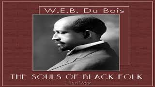 Souls of Black Folk | W. E. B. Du Bois | *Non-fiction, History, Music | Sound Book | English | 4/5