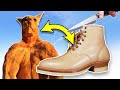 Is kangaroo the worlds strongest leather?