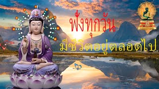 ฟังธรรมะก่อนนอน ใครชอบนอนฟังธรรมะแล้วหลับ จะเกิดอานิสงส์ใหญ่ได้บุญมาก P703 | พระพุทธรูปสี