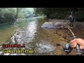 Mancing mahseer di sungai saat surut umpan kelapa sawit