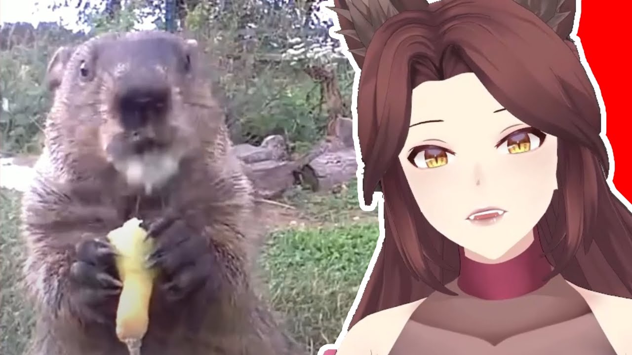 Memes That Made Me Hungry