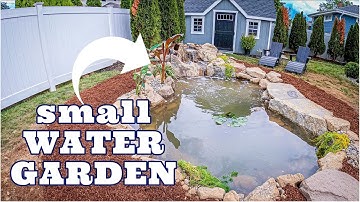 Small WATER GARDEN Transformation