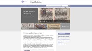 Searching Digital Collections