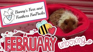 Piggies Furr and Feathers February 2015 Unboxing!