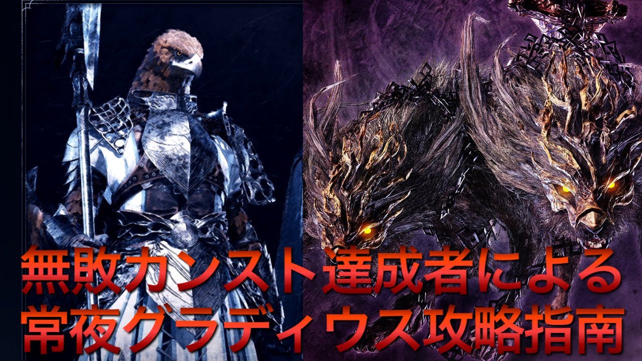 【グラディウス編】無敗カンストの守護者専による対策ビルド/実戦解説【エルデンリング ナイトレイン】