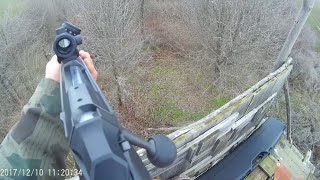 Лов на диви прасета България / Wild boar hunting Bulgaria