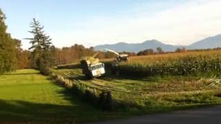 Postma corn 2011