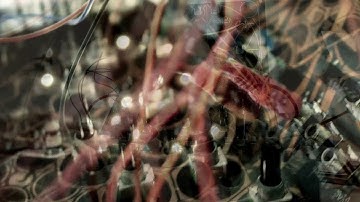 Folktek Mescaline | Session #1