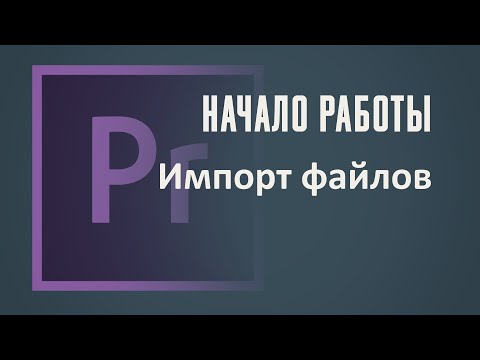 Импорт файлов, окно Проект. Начало работы в Adobe Premiere Pro