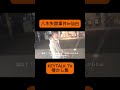 オムスター逃走の巻 #keytalktv #切り抜き #オムスター #KEYTALK #八木優樹