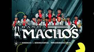 Mix Banda Machos Cumbias