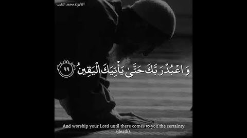 ||سورة الحجر|| للقارئ: محمد النقيب