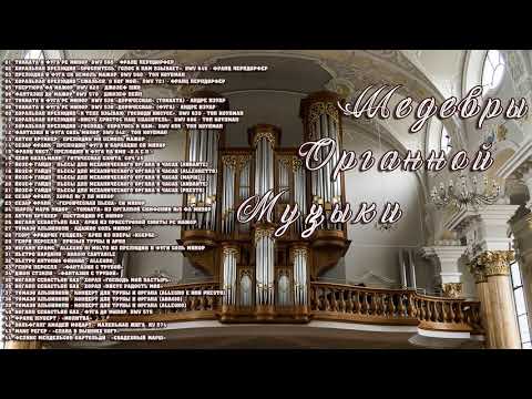 Video: Musiqiy Terapiya. Organ