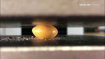 Soft Candy Compression Test in a Texturometer - METROTEC