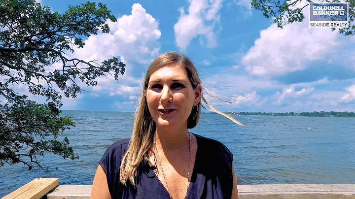 Meet Emily Bray