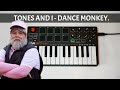 Dance Monkey - Tones and I (Cover by Daniel Victor)