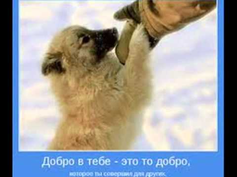 Дорогою добра.wmv