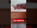 Tips sederhana