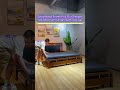 Solid Wood Frame Pull Out Sleeper Sofa Bed with Underneath Storage