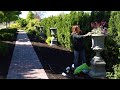 Planting a Gorgeous Full Sun Container Arrangement! 💗🌸🥰 // Garden Answer