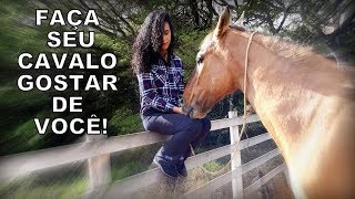 COMO SER AMIGO DE UM CAVALO?