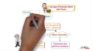 Perbedaan Jaringan Pembuluh Xilem dan Floem