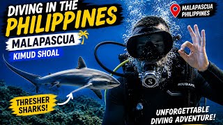 Kimud Shoal - Malapascua - Philippines - Scuba Diving - Thresher Sharks