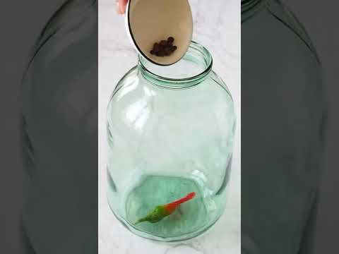 💥КРАСНАЯ КАПУСТА ПО-ГРУЗИНСКИ: КЛАССИЧЕСКИЙ РЕЦЕПТ💥