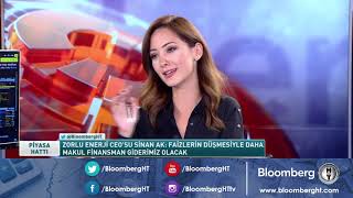 Özel Röportaj - Zorlu Enerji Ceosu Sinan Ak