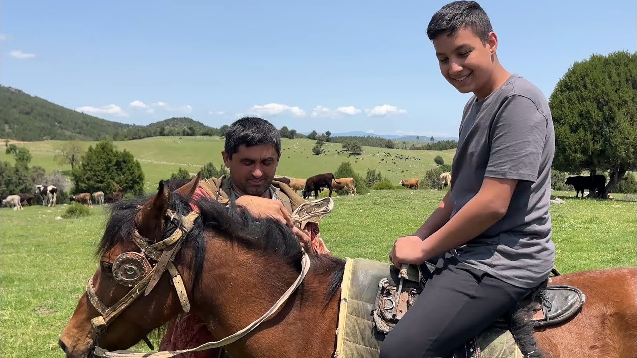 BU İŞ BU KADAR 🤏MERA DA ANGUS MELEZLEME İŞLETMESİ DENİZLİ