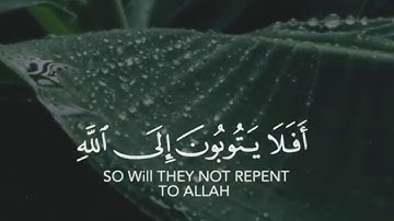 أَفَلَا يَتُوبُونَ إِلَى اللَّهِ /تلاوة مؤثرة/ 🤍🤍