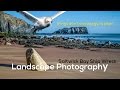 Landscape Photography | Saltwick Bay Shipwreck + BIRD!
