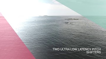 FAC Alteza free update 1.1 is out!