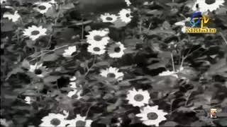Okate Korika - Prema Kanuka(1969)