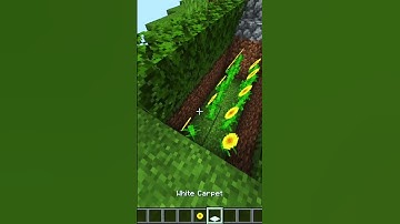 Minecraft How to Get Rid of ZOMBIES🤔 #minecraft #shorts