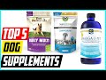 5 Best Dog Supplements for 2024 | Dog Supplements Review