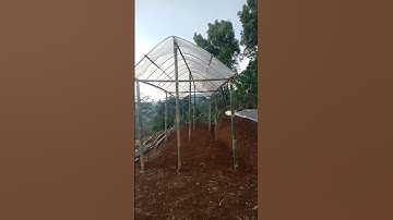 Thumbnail of begini cara buat greenhouse sederhana #indonesia #greenhouse #inc