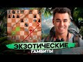 Эти ГАМБИТЫ СВОДЯТ С УМА! ТОП-5 ЭКЗОТИЧЕСКИХ ГАМБИТОВ, О Которых Ты НЕ СЛЫШАЛ!