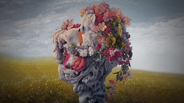 WILDERUN - Far from Where Dreams Unfurl (Official Visualizer Track)