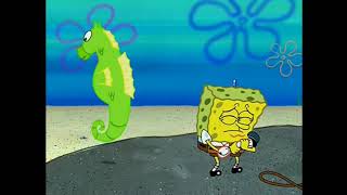 Just get outta here you stupid dumb animal