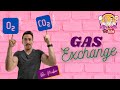 Gas Exchange Dynamics in the Human Respiratory System