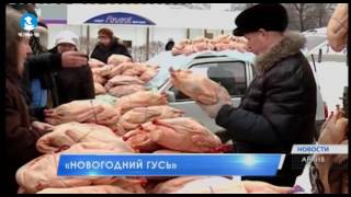 «Новогодний гусь» «Новогодний гусь»